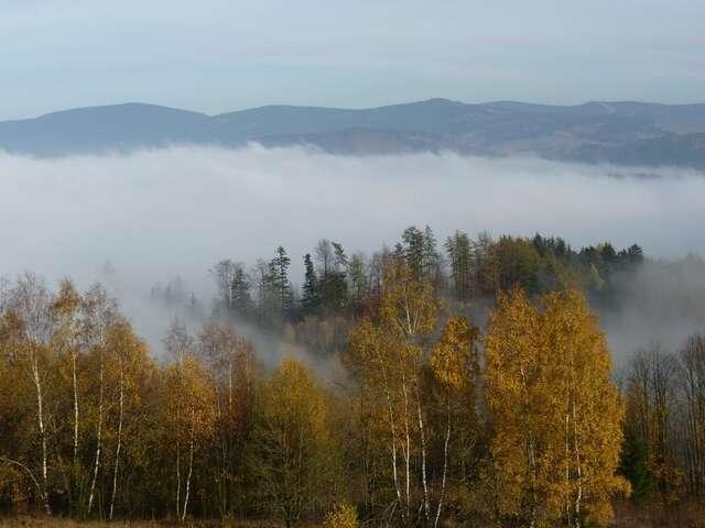 Фермерские дома Widokowa Osada Мендзылесе-27